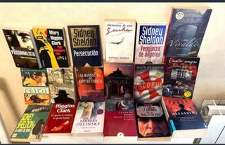 LOTES    6 LIBROS = 15 €   Hay 54 libros variados.