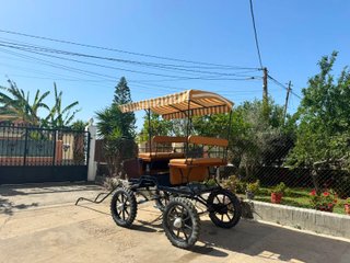 Carro de caballos con toldo (644 430 087) Miguel