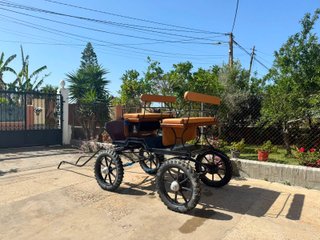 Carro de caballos con toldo (644 430 087) Miguel