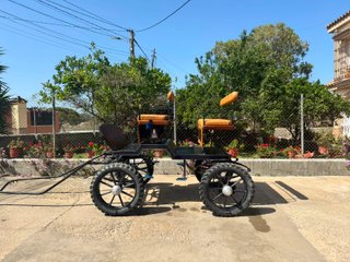 Carro de caballos con toldo (644 430 087) Miguel