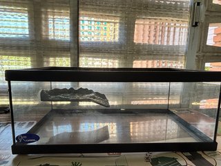Acuario/Terrario Beta Acuarios Tortugas