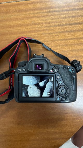 Canon EOS 80D + Objetivo Macro