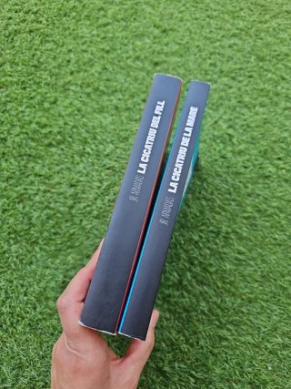 Lote de libros en catalán