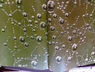 Agua en España Proteo o el cuarto elemento