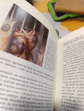 Libro antiguo de cria canarios . 1975