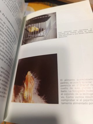 Libro antiguo de cria canarios . 1975