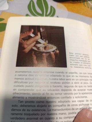 Libro antiguo de cria canarios . 1975