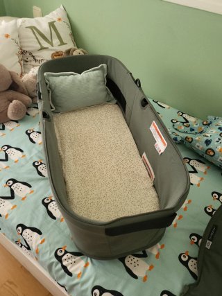 Carrito Bugaboo Dragonfly Verde + accesorios