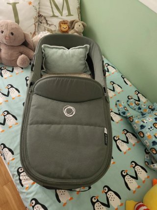 Carrito Bugaboo Dragonfly Verde + accesorios