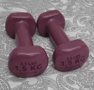 Mancuernas 1.5 kg (3.3 lbs) Morado