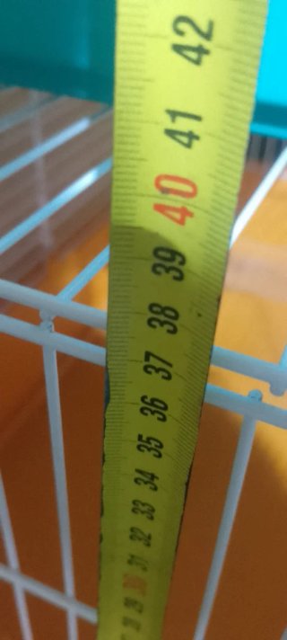 2 Jaulas para conejos/cobayas