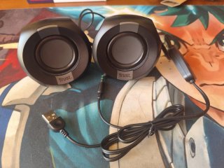 Altavoces Trust Polo USB Negro