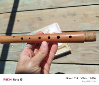 Flauta dulce Hohner madera con accesorios