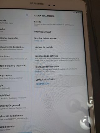 Tablet Samsung Gris y Blanca