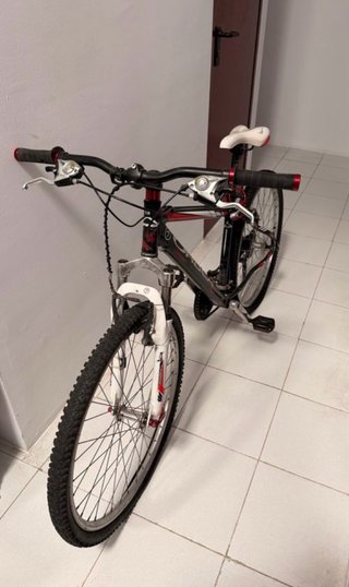 Bicicleta Orbea