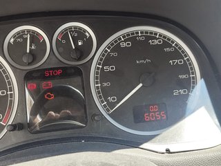 Peugeot 307 1.6 automatico adaptado
