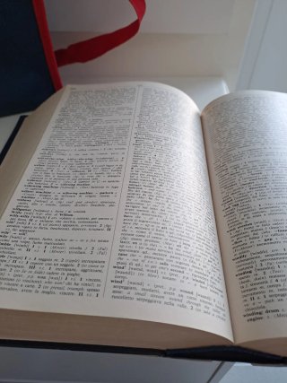 English-Italian, Italian-English The Sansoni Di...