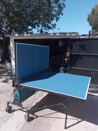 Mesa de ping pong Artengo 719 I