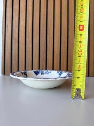 Plato de porcelana Myott vintage azul