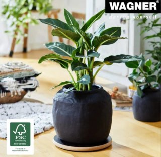 Soporte con ruedas para plantas WAGNER
