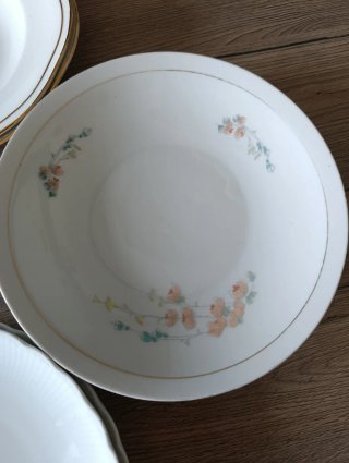 Stock 10 piatti fondi porcellana decorati