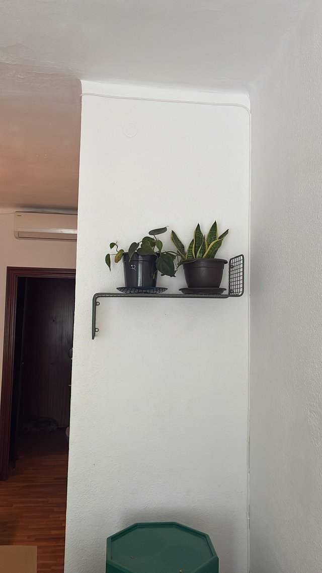 MONTAJE DE ESTANTERÍAS, ESPEJOS, MESAS, CAMAS