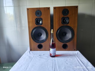 Altavoces Martin 309