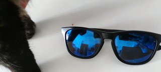Lote 2 Gafas de Sol - Lentes Espejo Azul (Piezas)