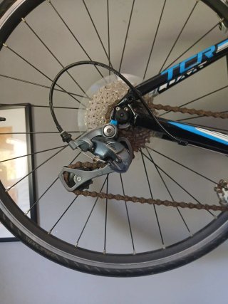 Giant  tcr