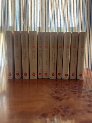 Libros “consultor tematico”
