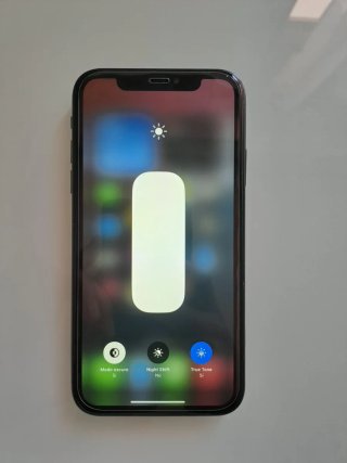 iPhone XR 64GB Negro - 87% Batería