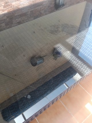 Mesa ratán y cristal terraza
