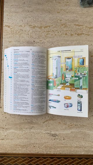 Cambridge Essential English Dictionary