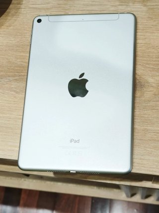 iPad mini 5 wifi + Cellular Plata