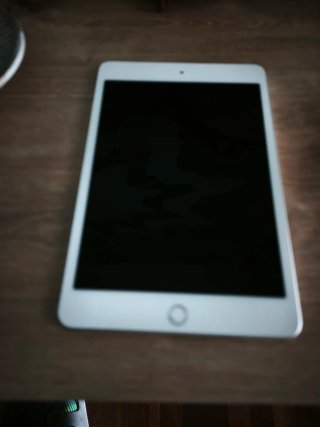 iPad mini 5 wifi + Cellular Plata
