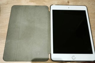 iPad mini 5 wifi + Cellular Plata