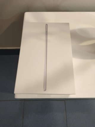 iPad mini 5 wifi + Cellular Plata