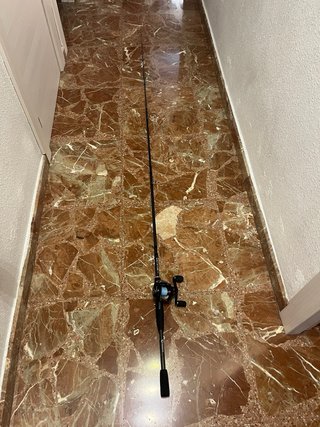 Caña de pescar Casting