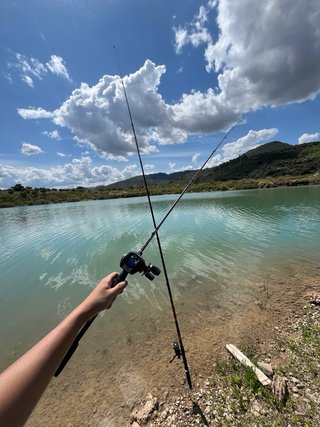 Caña de pescar Casting
