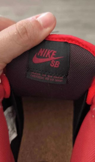 Zapatillas Nike SB Negras y Rojas