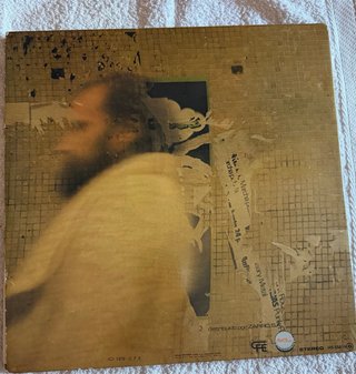 Vinilo Topo