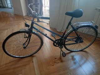 Bicicleta Torrot Original 313.componentes de orige
