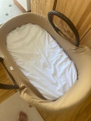 Moisés Petit Filippe mimbre y madera