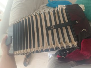 Fisarmonica Hohner Student IV 32 bassi