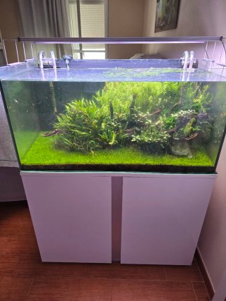 Acuario Eheim Proxima 250 Completo