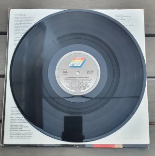 Vinilo Joaquín Sabina - Física y Química