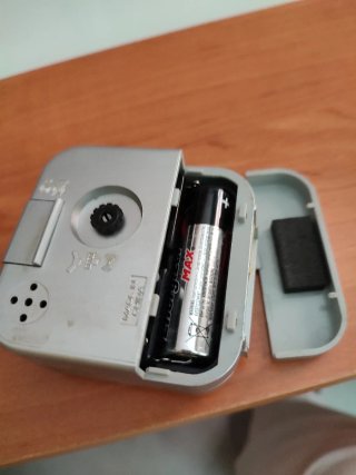 Despertador Casio Plata/Blanco