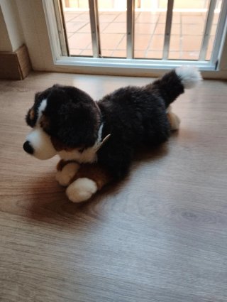Peluche Perro Boyero de Berna Carl Dick 30cm