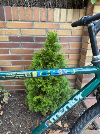 Bicicleta de Montaña MTB Verde