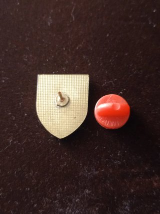 Pin Insignia Rangers Vietnam